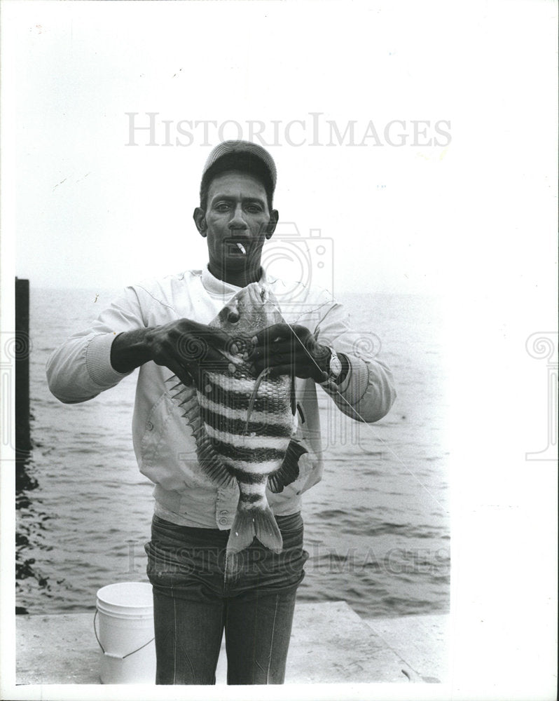 1989 Press Photo Harold Thomas Hold Sheep Pier Catch  - Historic Images