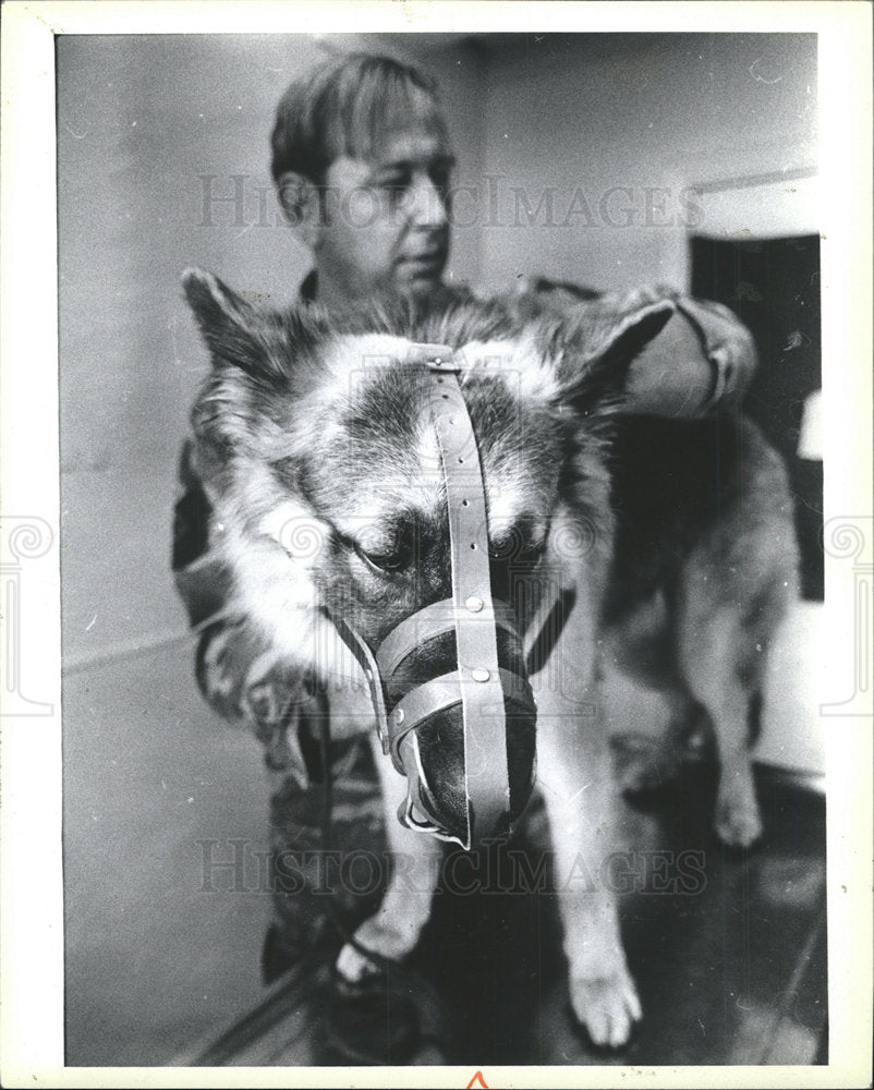 1983 Press Photo United States Air Force Dog - Historic Images