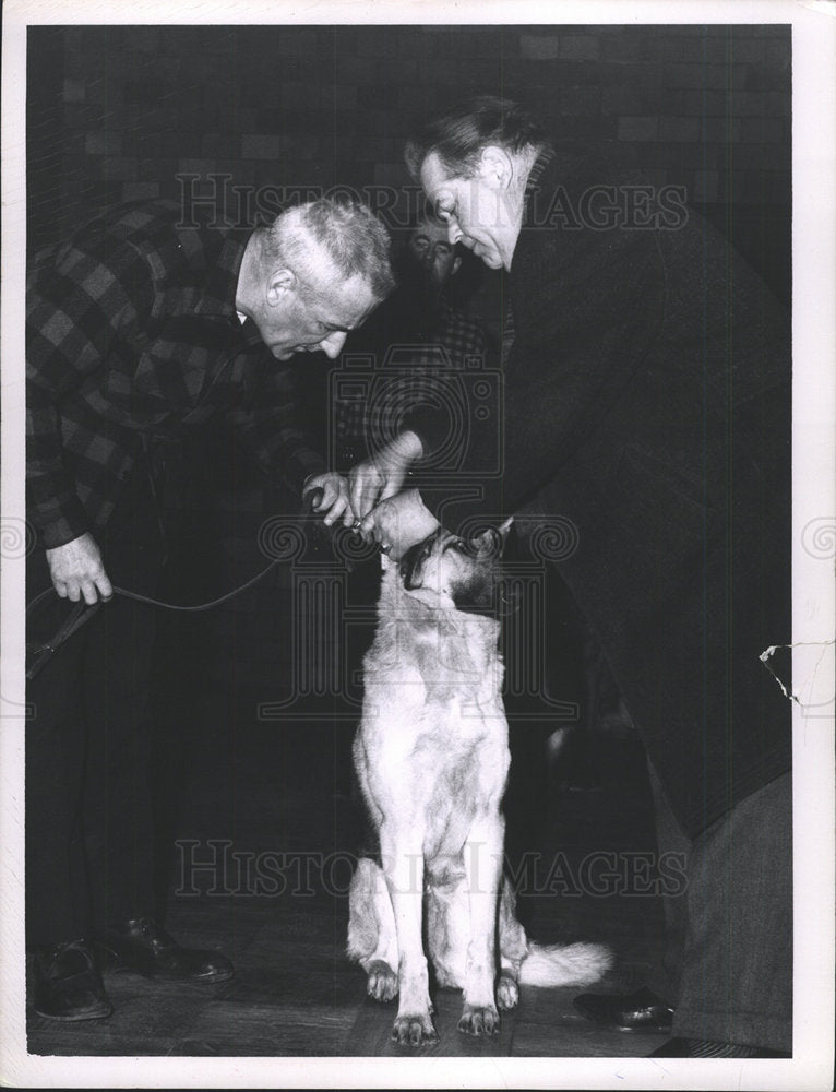 1963 Press Photo Boston Police Dog William Keasley Anka - Historic Images