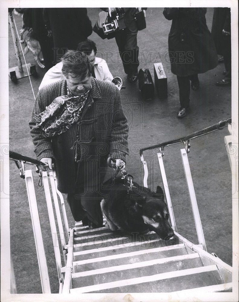 1963 Press Photo Boston Police Dog  - Historic Images