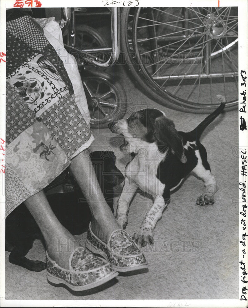 1983 Press Photo Puppies Morton Plant Hospital Rehab - Historic Images
