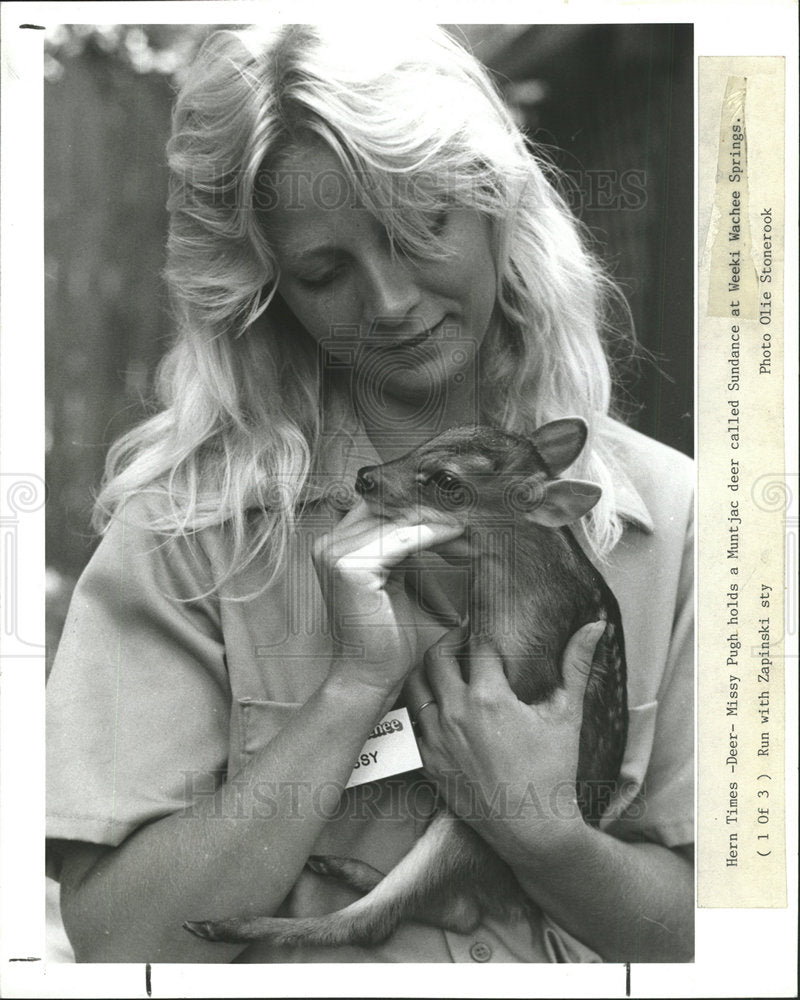 1989 Press Photo Missy Pugh Holds Sundance Muntjac Deer - Historic Images