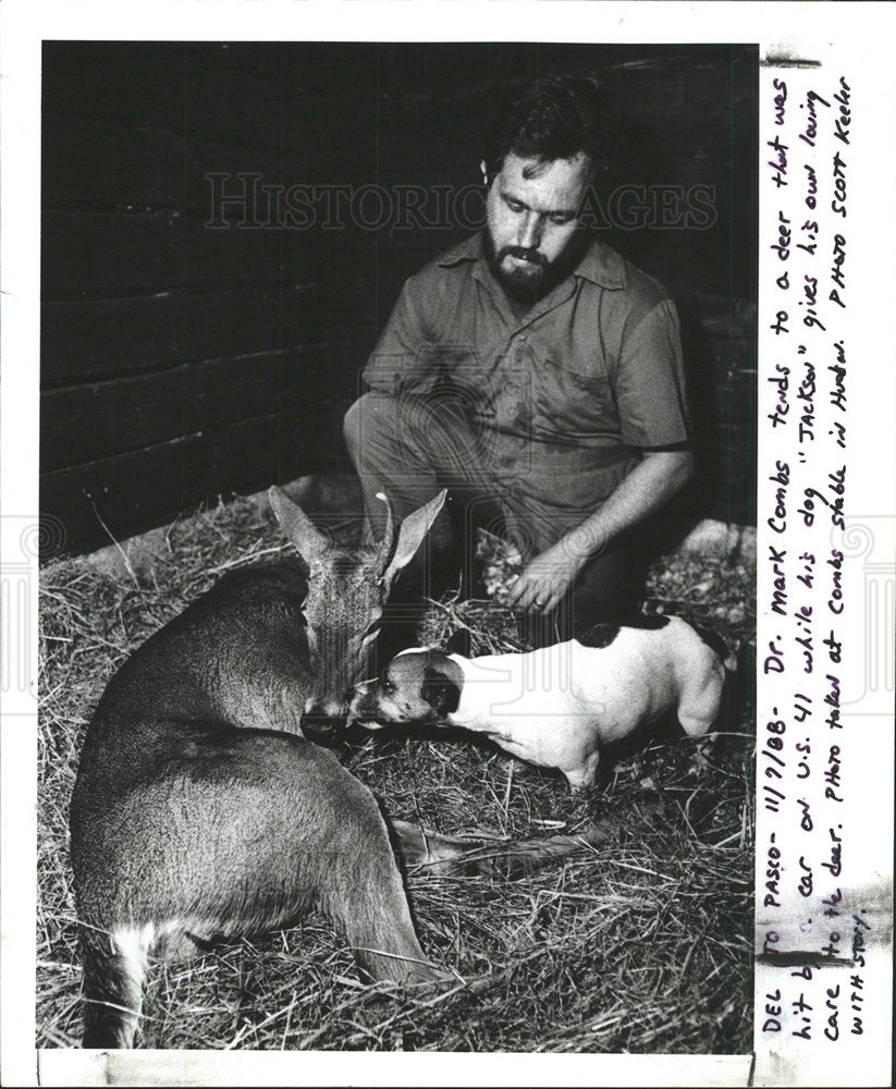1988 Press Photo Veterinarian Combs Injured Deer Dog - Historic Images