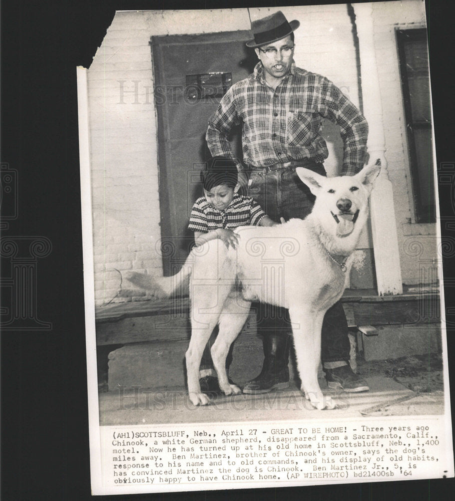 1964 Press Photo Chinook Missing German Shepherd Found - Historic Images