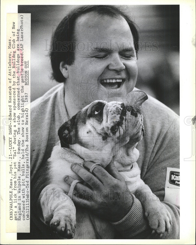1987 Press Photo Edward Kozatek Bulldog &quot;Sal&quot; - Historic Images