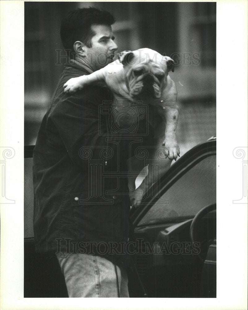1993 Press Photo Brandon McCue English Bull Dog Maggie - Historic Images