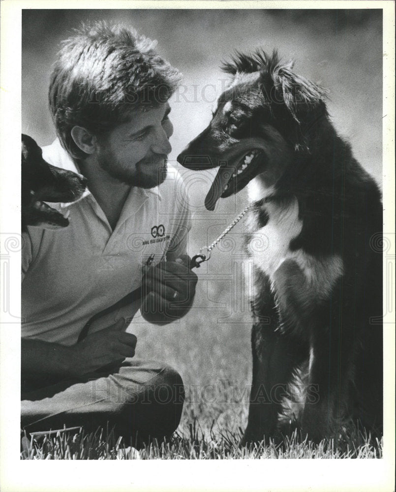 1991 Press Photo Rescued Dogs Playing Boston Cunningham - Historic Images