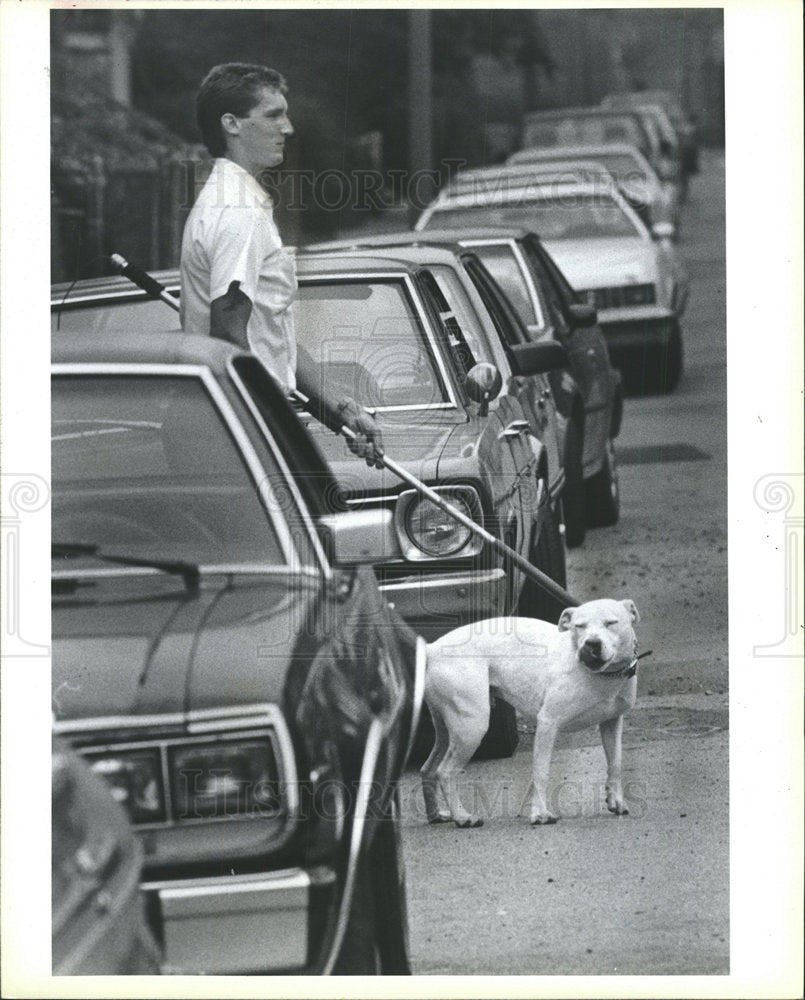 1987 Press Photo Boston Animal Control  - Historic Images