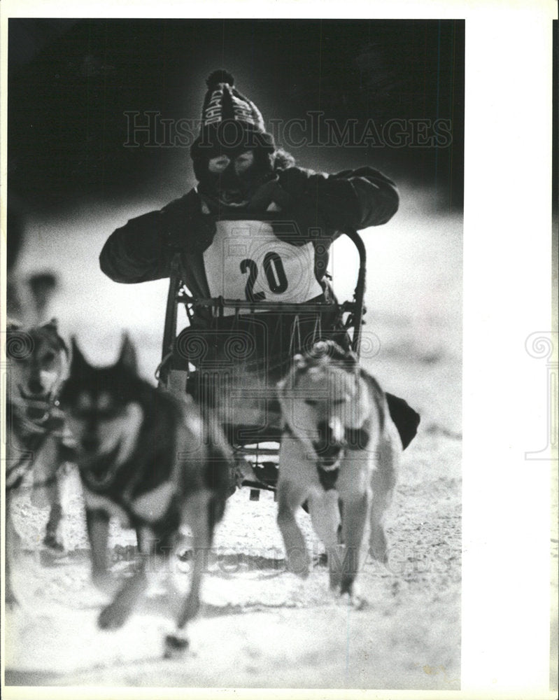 1987 Press Photo Dog Sled Racing Maine Finish Line - Historic Images