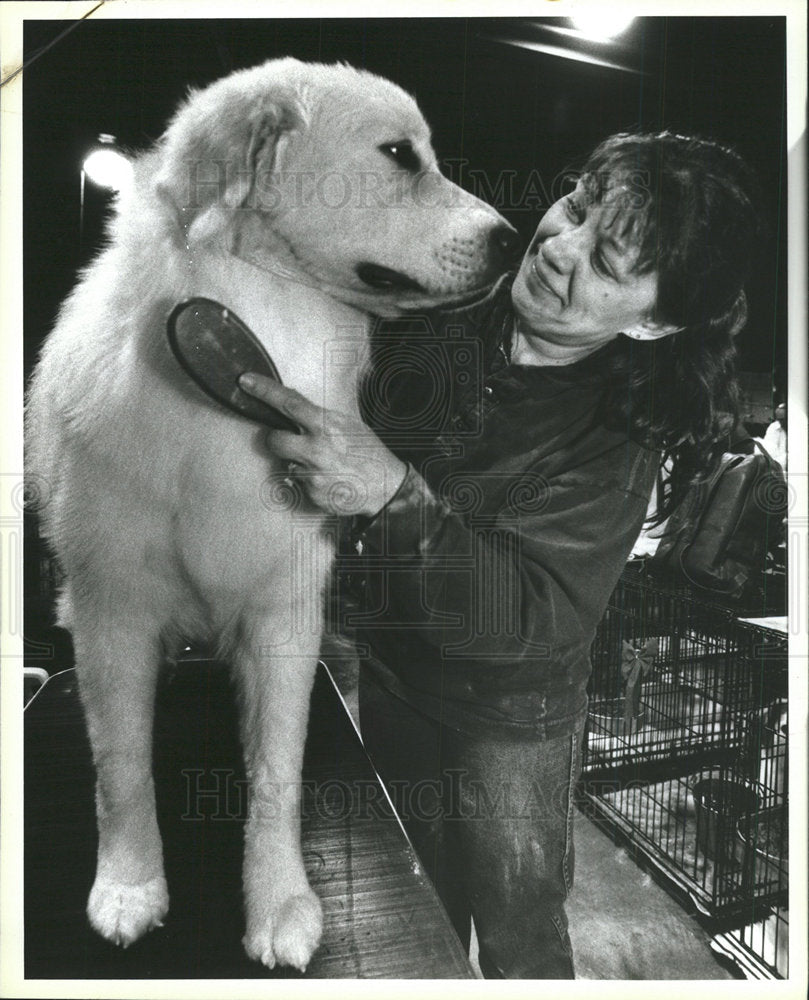 1995 Press Photo Owner Grooming Dog Bayside Expo Show - Historic Images