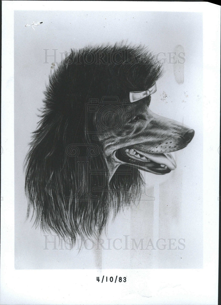 1983 Press Photo Canidae Family Member, the Dog - Historic Images