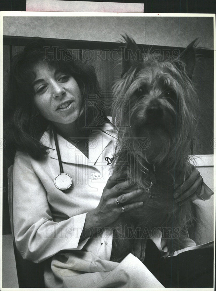 1990 Press Photo Somerville Animal Hospital Therapist - Historic Images