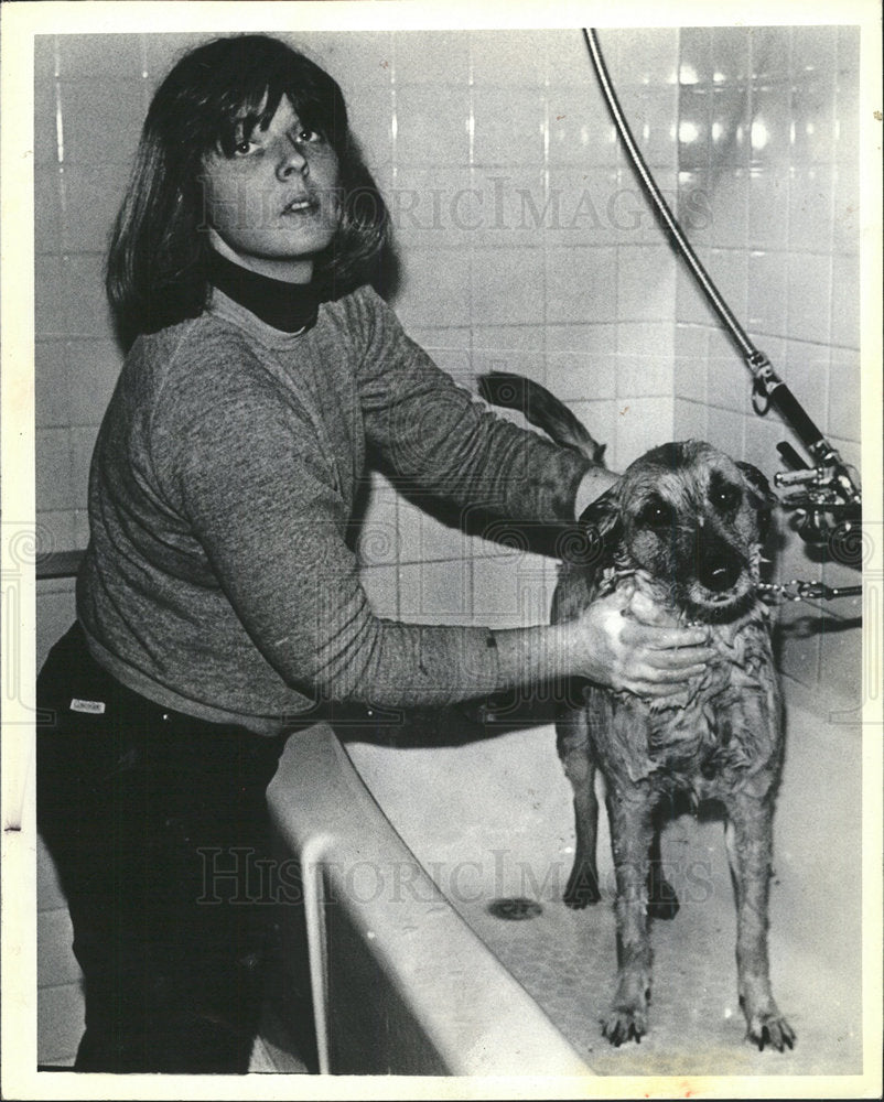 Press Photo Veterinarian Worker Shampooing Dog Kondos - Historic Images