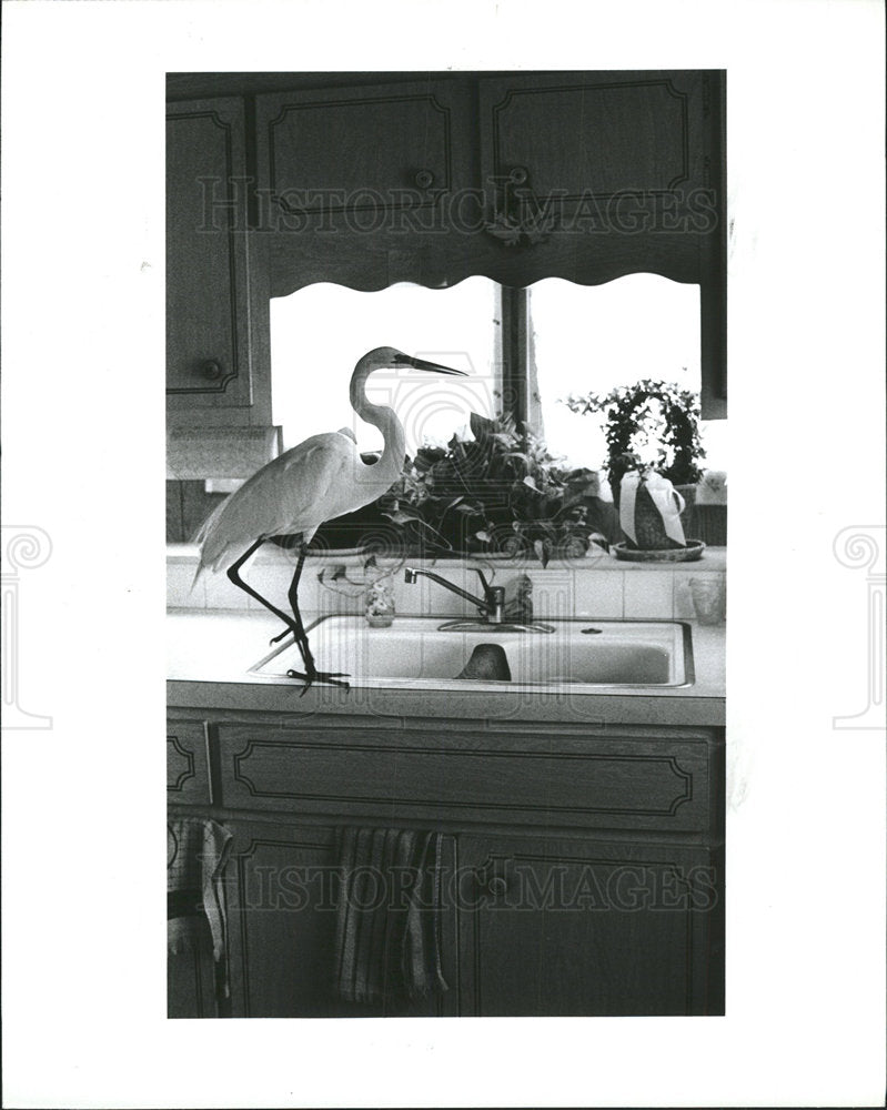 1990 Press Photo Freddy the Egret is Dinner Visitor - Historic Images