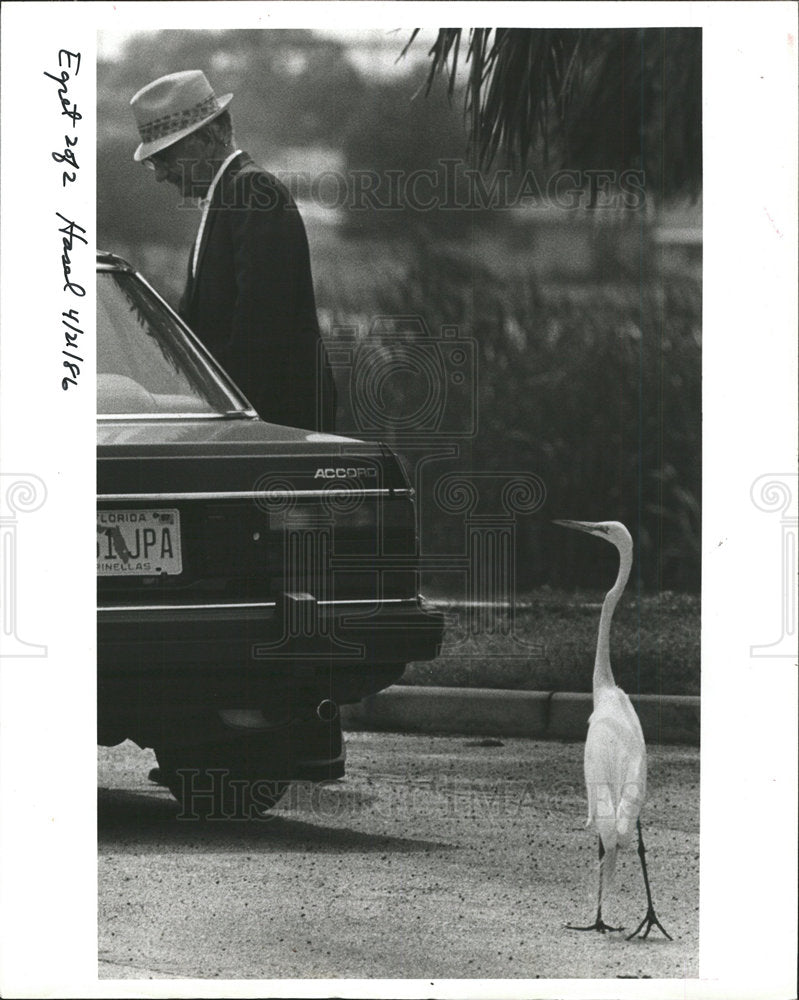 1986 Press Photo Timpner Feeds Egrets - Historic Images