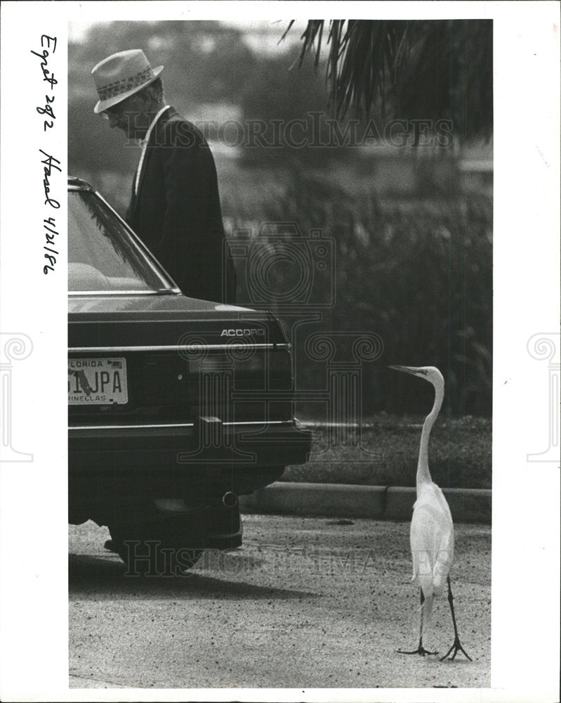 1986 Press Photo Timpner Feeds Egrets - Historic Images