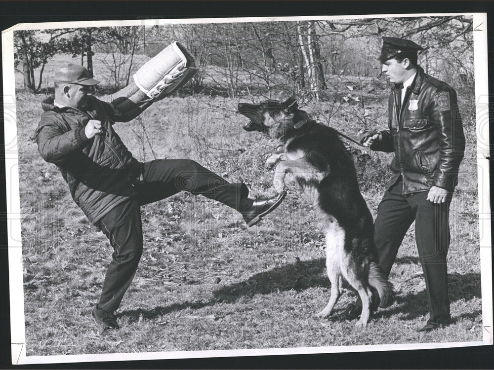 1971 Press Photo Police Dog Canine Corps Bankowski - Historic Images