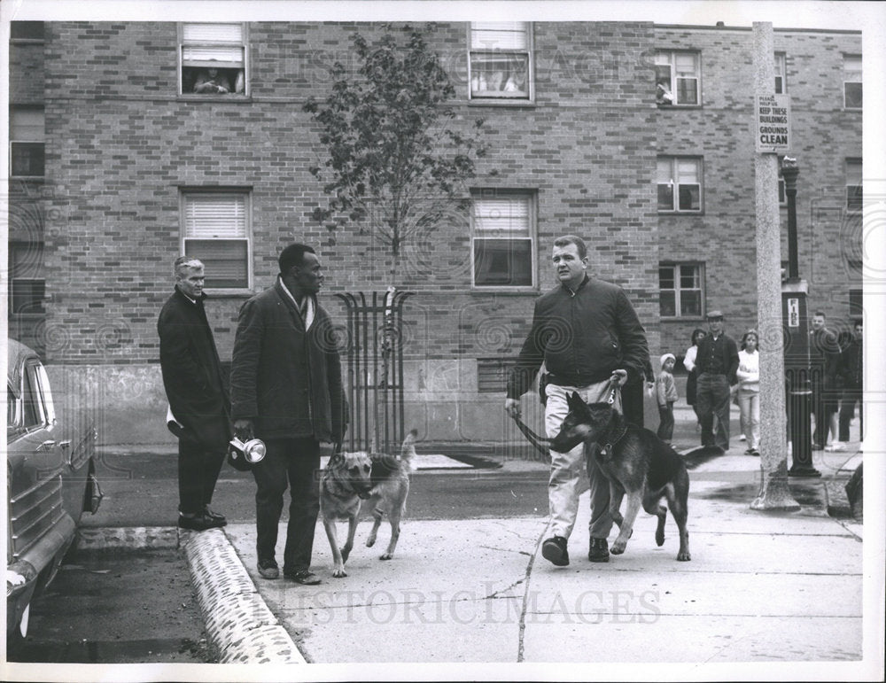 1964 Press Photo Boston Police Dogs Being Walked - Historic Images