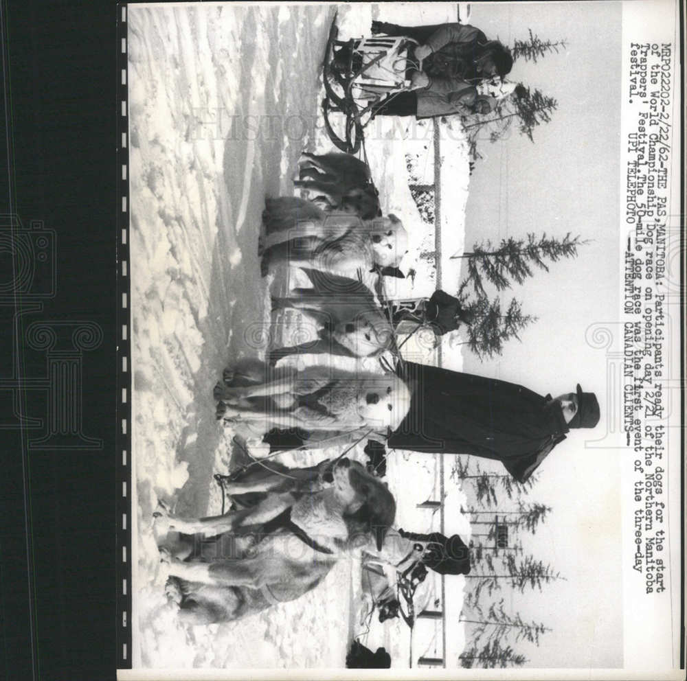 1962 Press Photo Dog Race Manitoba Trappers Festival - Historic Images