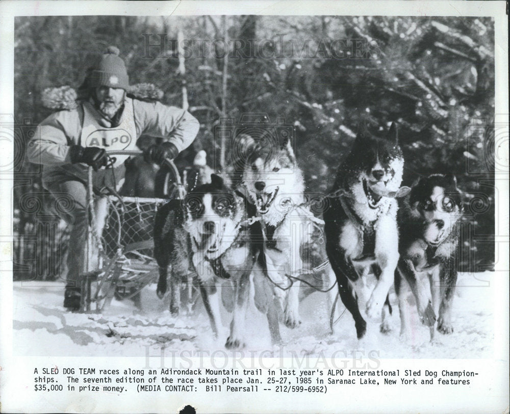 1985 Press Photo ALPO International Sled Dog Race - Historic Images