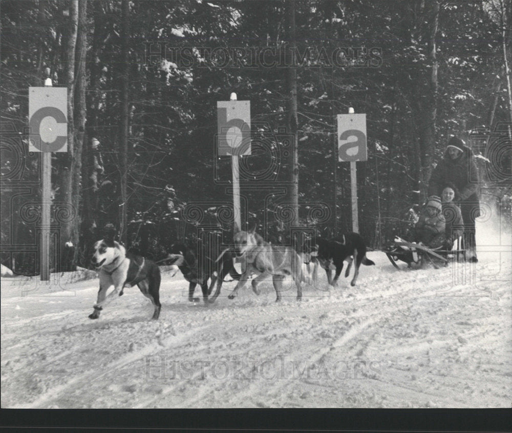 1976 Press Photo Corriveau Sled Dog Team Bretton Woods - Historic Images