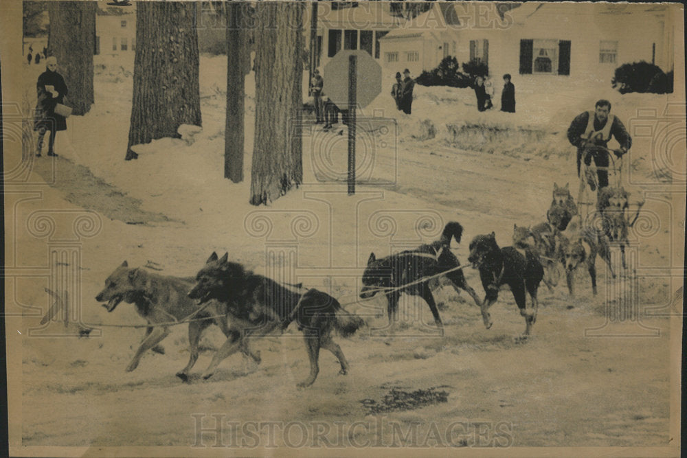 1969 Press Photo John Piscopo Jr. World Sled Dog Derby - Historic Images