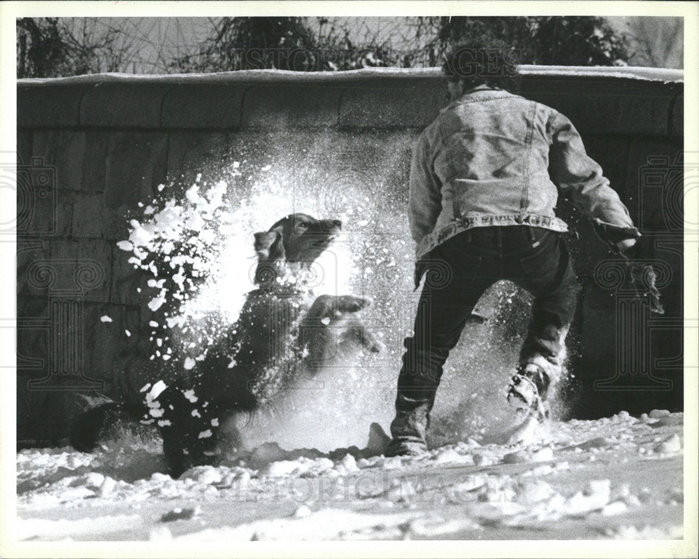 1990 Press Photo Bob Mullen Golden Retriever Park Snow - Historic Images