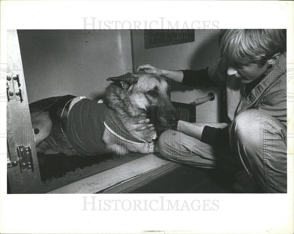 1990 Press Photo Gunshot Wounded Dog Angel Mem Hospital - Historic Images