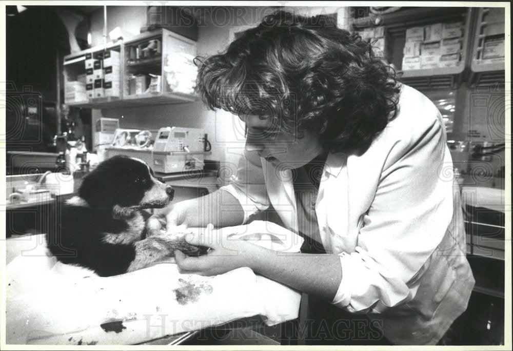 1995 Press Photo Ciara O&#39;Kelly Nurse Puppy Basement - Historic Images
