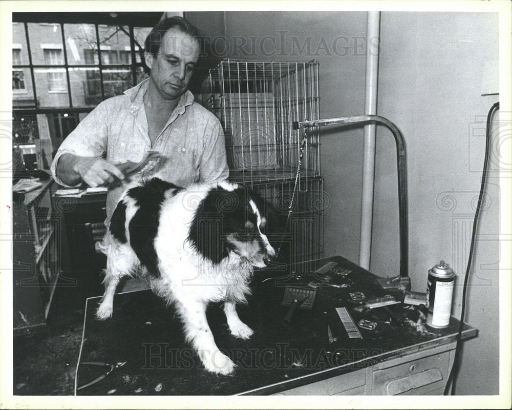 1988 Press Photo Vet Worker Grooming Dog Store - Historic Images