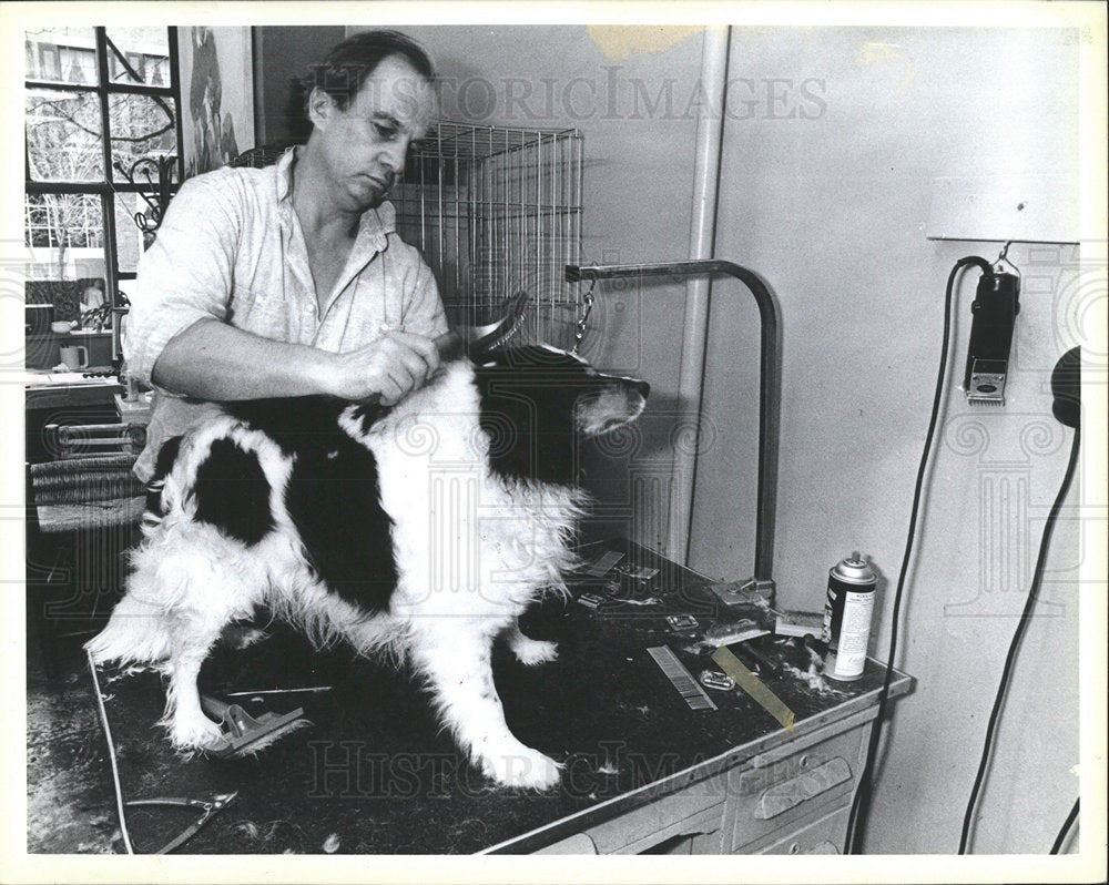 1988 Press Photo Dog Groomer Brushing - Historic Images