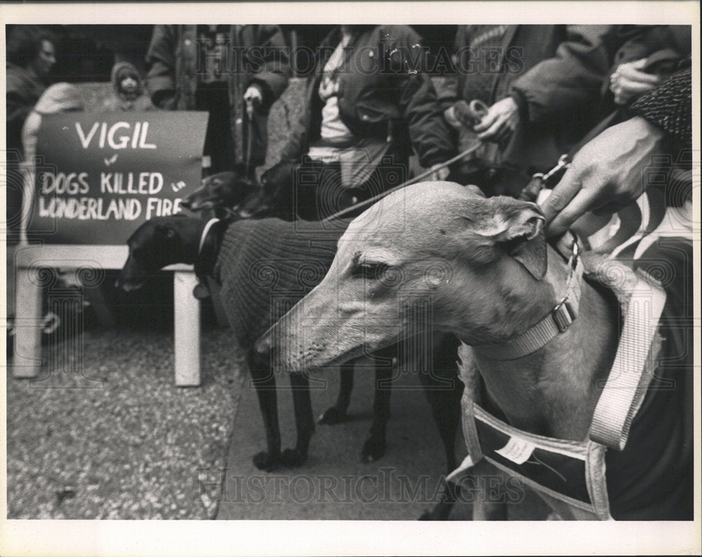 1992 Press Photo Vigil For Greyhounds Killed In Fire - Historic Images