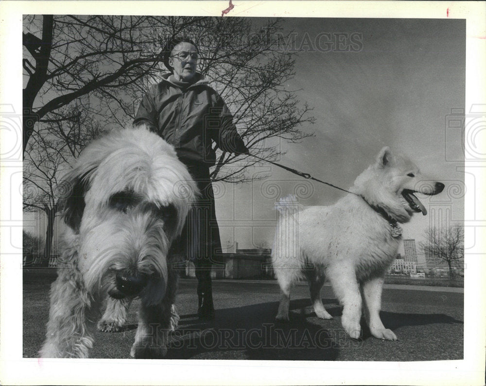 1989 Press Photo Margery Smith English sheepdog Samoyed - Historic Images