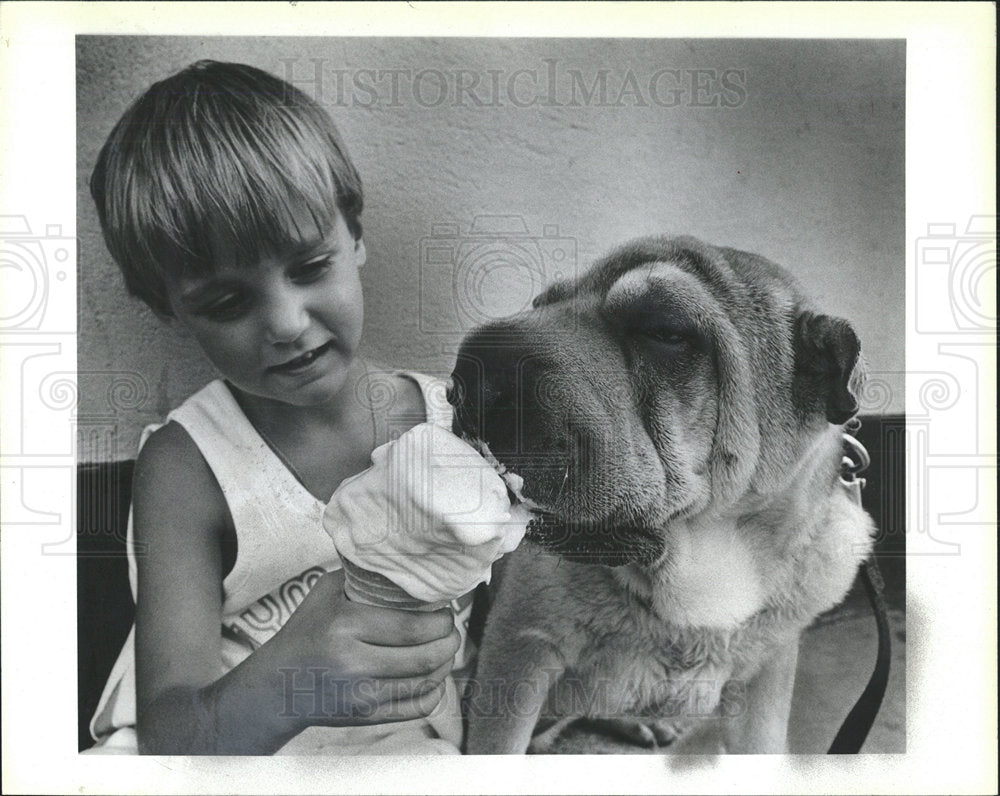 1987 Press Photo Joey Dizoglio uncle's Shapei cool off - Historic Images