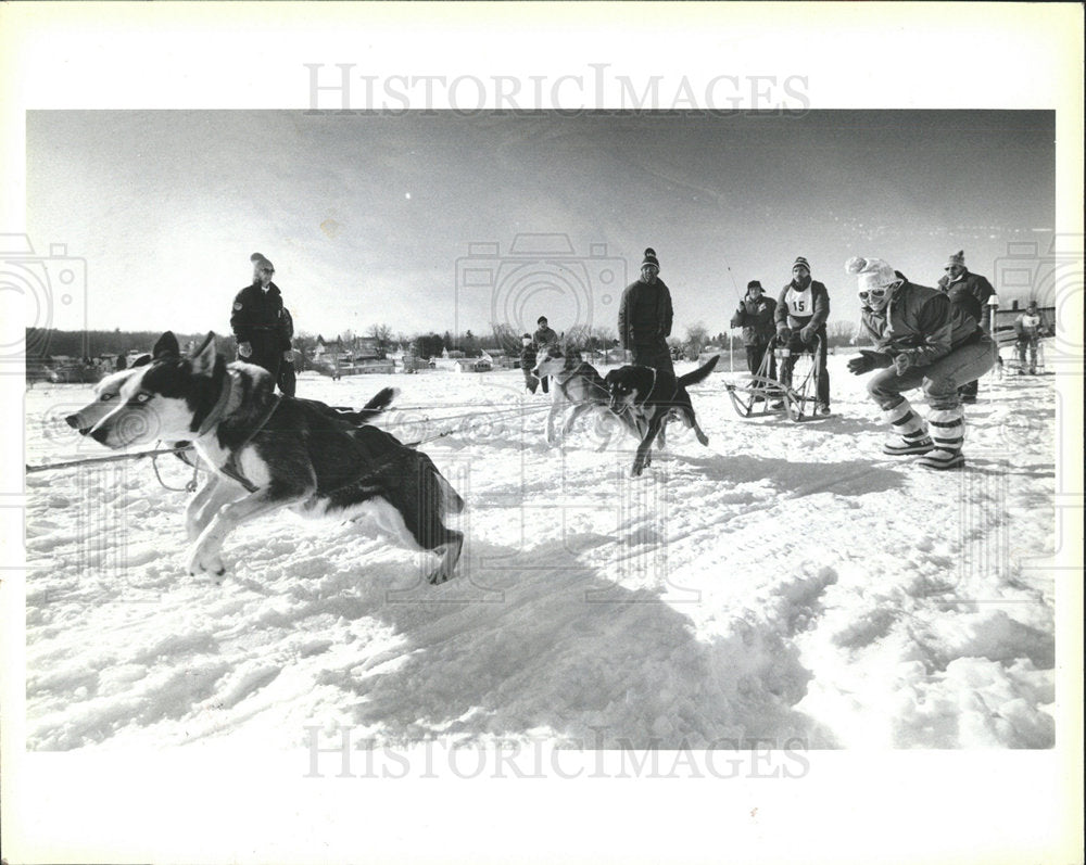 1987 Press Photo Dog Sled Race - Historic Images