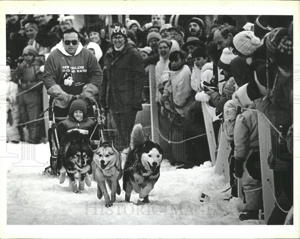 1988 Press Photo Dick Crisafulli Anthony Dog Sled - Historic Images