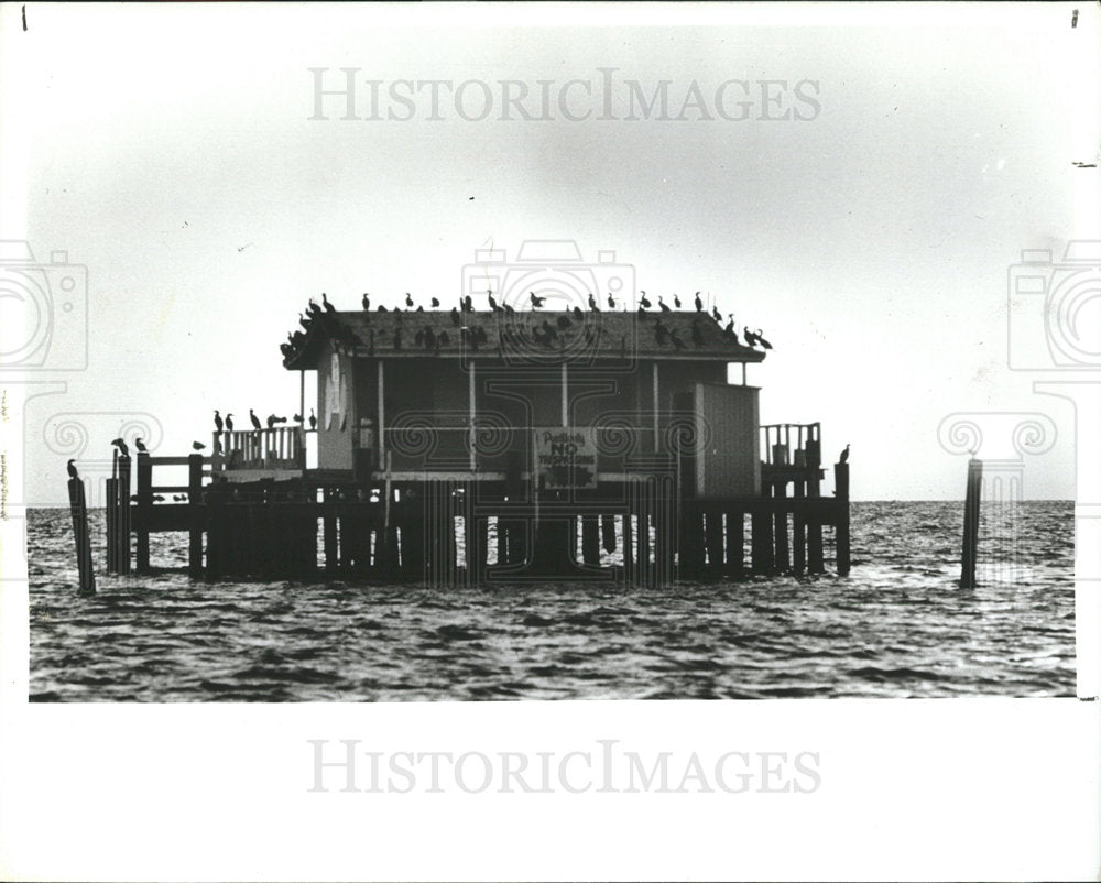1989 Press Photo birds roost on stilt house, Pasco Co. - Historic Images