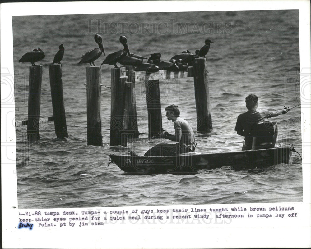 1988 Press Photo Fishermen Fishing Tampa Bay Rocky Pt. - Historic Images