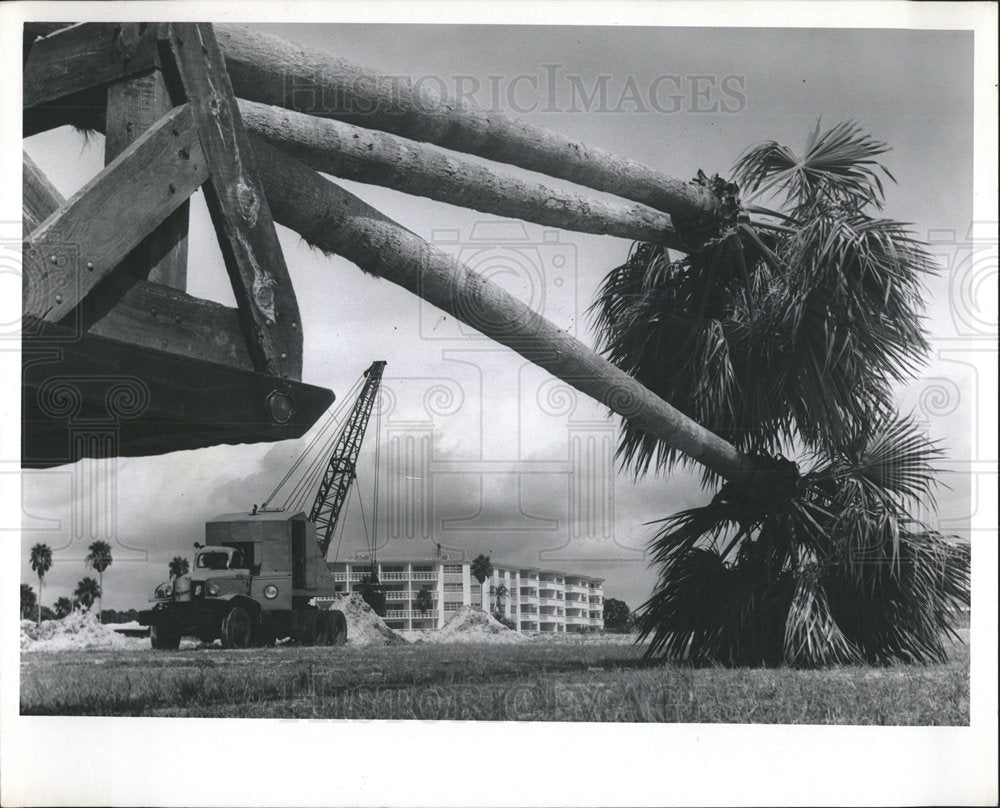 1965 Press Photo Shore Beach Palms Planting Petersburg - Historic Images