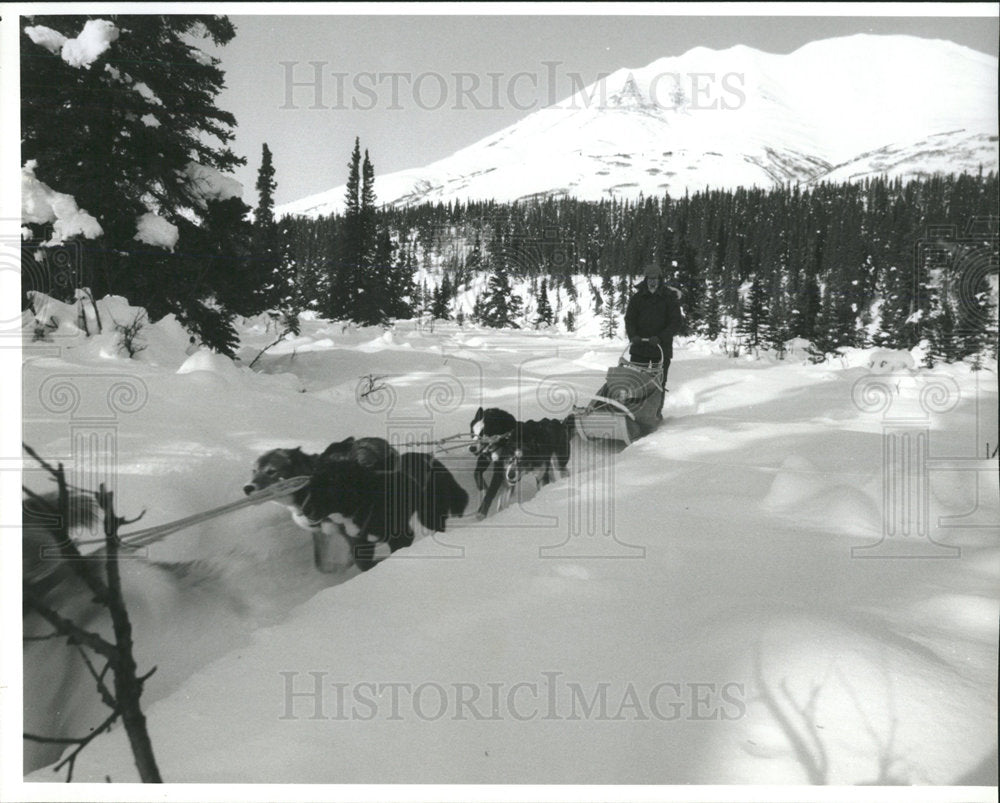 1992 Press Photo Dog sled-team patrol park in Alaska - Historic Images