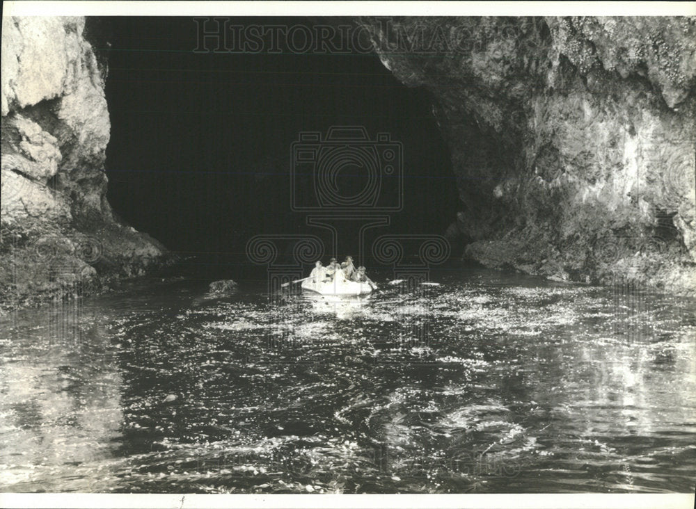1981 Press Photo Kelp beds in the sea Santa Rose Island - Historic Images