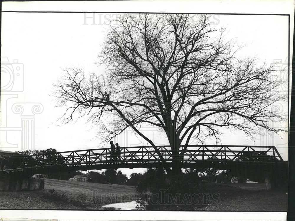 1988 Press Photo Larry Freda Goddard Campbell Park  - Historic Images