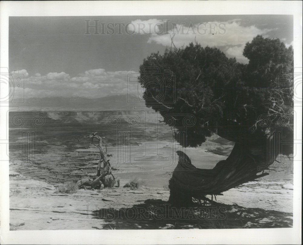 1966 Press Photo Canyonlands National Park Utah - Historic Images