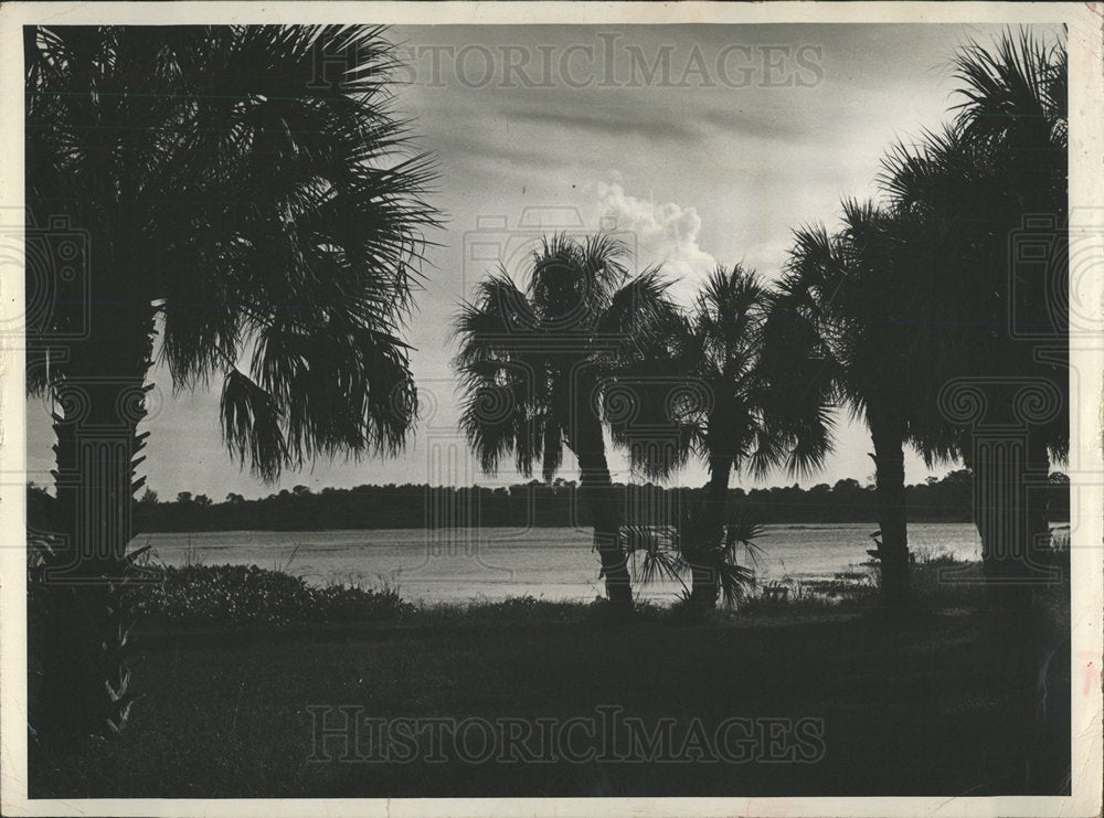 Press Photo Lake Maggione St Petersburg Beach Park - Historic Images