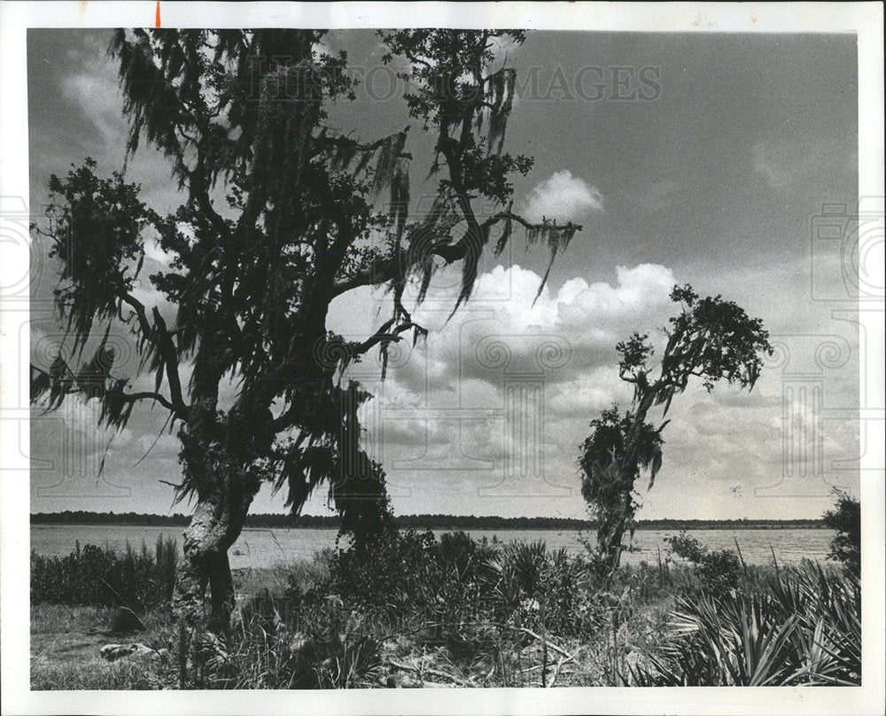1976 Press Photo Bradenton Public Beach Lake Manatee - Historic Images