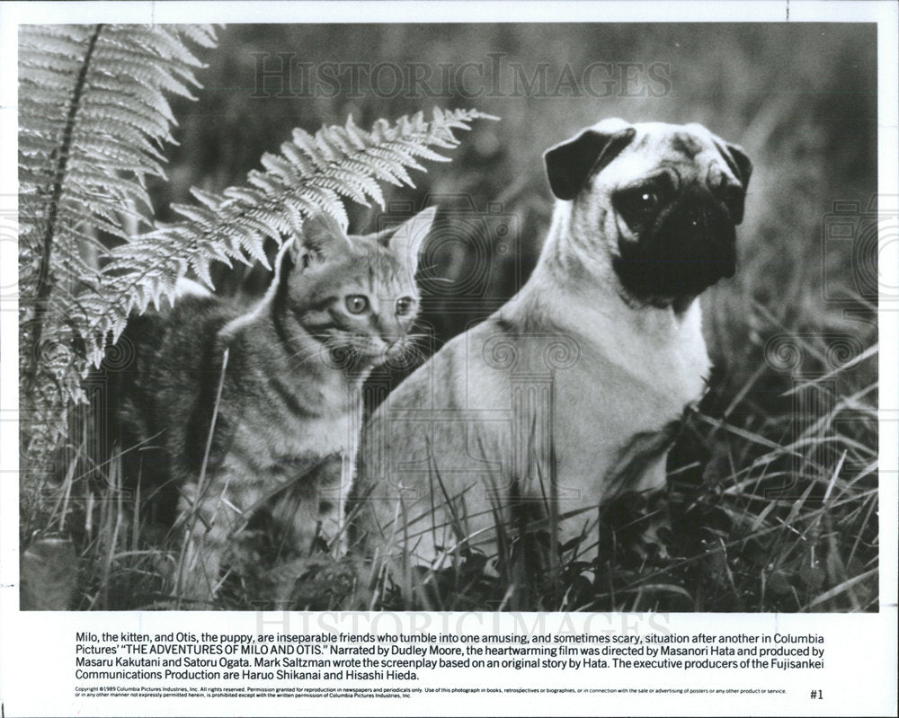 1990 Press Photo Adventure Milo Otis Dudley Moore - Historic Images