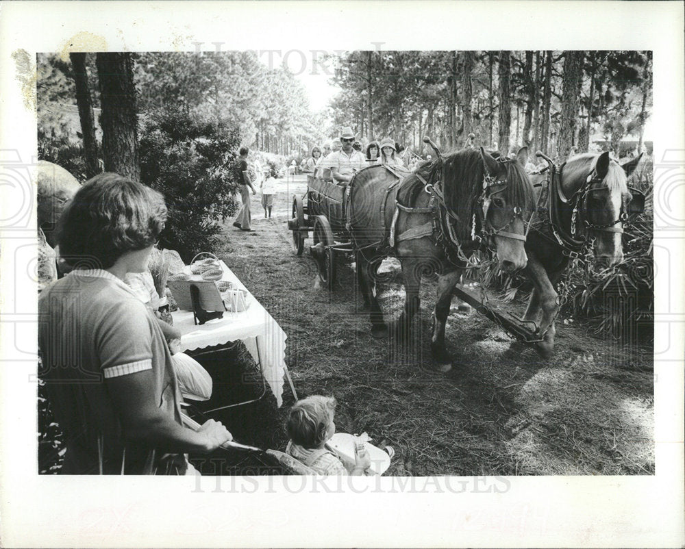 1981 Press Photo Heritage Park Country Jubilee Carriage - Historic Images