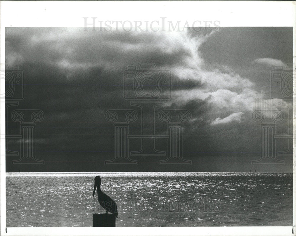 1988 Press PhotoPier Saint Petersburg  family meal Play - Historic Images