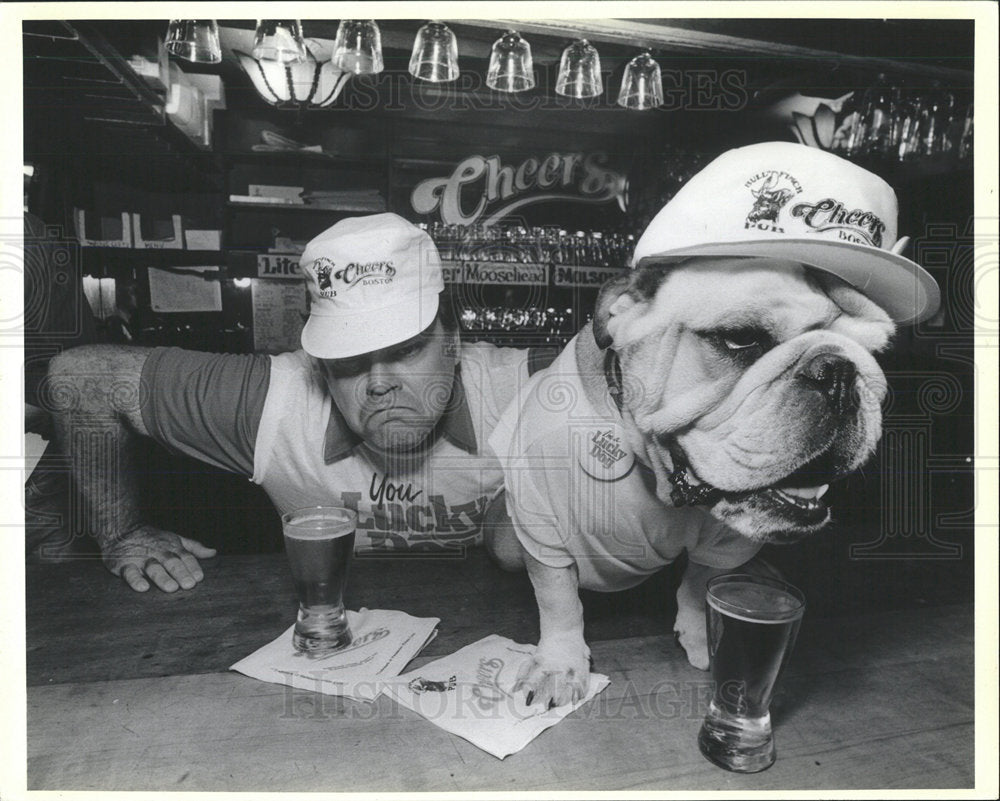 1986 Press Photo Dog man Look-Alike bull Finch Boston - Historic Images