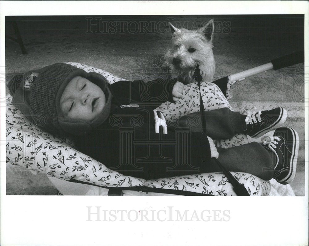 1997 Press Photo Robby Dewey,10 mths and His Dog Molly. - Historic Images